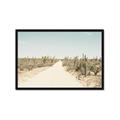 Picture of Cactus Row _GroupedProduct_Rectangle_Landscape_Photography _GroupedProduct_Rectangle_Landscape_Framed_Matted_