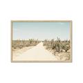 Picture of Cactus Row _GroupedProduct_Rectangle_Landscape_Photography _GroupedProduct_Rectangle_Landscape_Framed_Matted_