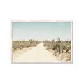 Picture of Cactus Row _GroupedProduct_Rectangle_Landscape_Photography _GroupedProduct_Rectangle_Landscape_Framed_Matted_