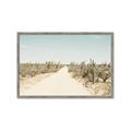 Picture of Cactus Row _GroupedProduct_Rectangle_Landscape_Photography _GroupedProduct_Rectangle_Landscape_Framed_Matted_