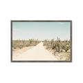 Picture of Cactus Row _GroupedProduct_Rectangle_Landscape_Photography _GroupedProduct_Rectangle_Landscape_Framed_Matted_