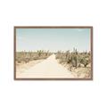 Picture of Cactus Row _GroupedProduct_Rectangle_Landscape_Photography _GroupedProduct_Rectangle_Landscape_Framed_Matted_