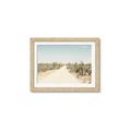 Picture of Cactus Row _GroupedProduct_Rectangle_Landscape_Photography _GroupedProduct_Rectangle_Landscape_Framed_Matted_