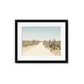 Picture of Cactus Row _GroupedProduct_Rectangle_Landscape_Photography _GroupedProduct_Rectangle_Landscape_Framed_Matted_