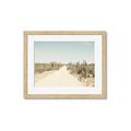 Picture of Cactus Row _GroupedProduct_Rectangle_Landscape_Photography _GroupedProduct_Rectangle_Landscape_Framed_Matted_