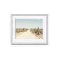 Picture of Cactus Row _GroupedProduct_Rectangle_Landscape_Photography _GroupedProduct_Rectangle_Landscape_Framed_Matted_