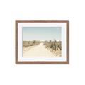 Picture of Cactus Row _GroupedProduct_Rectangle_Landscape_Photography _GroupedProduct_Rectangle_Landscape_Framed_Matted_