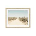 Picture of Cactus Row _GroupedProduct_Rectangle_Landscape_Photography _GroupedProduct_Rectangle_Landscape_Framed_Matted_