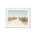 Picture of Cactus Row _GroupedProduct_Rectangle_Landscape_Photography _GroupedProduct_Rectangle_Landscape_Framed_Matted_