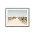 Picture of Cactus Row _GroupedProduct_Rectangle_Landscape_Photography _GroupedProduct_Rectangle_Landscape_Framed_Matted_