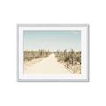 Picture of Cactus Row _GroupedProduct_Rectangle_Landscape_Photography _GroupedProduct_Rectangle_Landscape_Framed_Matted_
