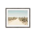 Picture of Cactus Row _GroupedProduct_Rectangle_Landscape_Photography _GroupedProduct_Rectangle_Landscape_Framed_Matted_