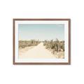 Picture of Cactus Row _GroupedProduct_Rectangle_Landscape_Photography _GroupedProduct_Rectangle_Landscape_Framed_Matted_