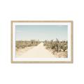 Picture of Cactus Row _GroupedProduct_Rectangle_Landscape_Photography _GroupedProduct_Rectangle_Landscape_Framed_Matted_