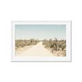 Picture of Cactus Row _GroupedProduct_Rectangle_Landscape_Photography _GroupedProduct_Rectangle_Landscape_Framed_Matted_
