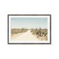 Picture of Cactus Row _GroupedProduct_Rectangle_Landscape_Photography _GroupedProduct_Rectangle_Landscape_Framed_Matted_