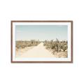 Picture of Cactus Row _GroupedProduct_Rectangle_Landscape_Photography _GroupedProduct_Rectangle_Landscape_Framed_Matted_