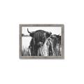 Picture of Bull in the Grass _GroupedProduct_Rectangle_Landscape_Photography _GroupedProduct_Rectangle_Landscape_Framed_Matted_
