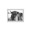 Picture of Bull in the Grass _GroupedProduct_Rectangle_Landscape_Photography _GroupedProduct_Rectangle_Landscape_Framed_Matted_