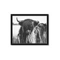 Picture of Bull in the Grass _GroupedProduct_Rectangle_Landscape_Photography _GroupedProduct_Rectangle_Landscape_Framed_Matted_