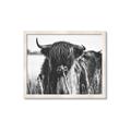 Picture of Bull in the Grass _GroupedProduct_Rectangle_Landscape_Photography _GroupedProduct_Rectangle_Landscape_Framed_Matted_