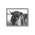 Picture of Bull in the Grass _GroupedProduct_Rectangle_Landscape_Photography _GroupedProduct_Rectangle_Landscape_Framed_Matted_