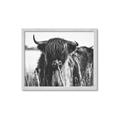 Picture of Bull in the Grass _GroupedProduct_Rectangle_Landscape_Photography _GroupedProduct_Rectangle_Landscape_Framed_Matted_