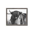 Picture of Bull in the Grass _GroupedProduct_Rectangle_Landscape_Photography _GroupedProduct_Rectangle_Landscape_Framed_Matted_