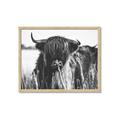 Picture of Bull in the Grass _GroupedProduct_Rectangle_Landscape_Photography _GroupedProduct_Rectangle_Landscape_Framed_Matted_
