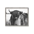 Picture of Bull in the Grass _GroupedProduct_Rectangle_Landscape_Photography _GroupedProduct_Rectangle_Landscape_Framed_Matted_