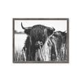 Picture of Bull in the Grass _GroupedProduct_Rectangle_Landscape_Photography _GroupedProduct_Rectangle_Landscape_Framed_Matted_