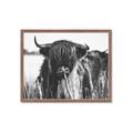 Picture of Bull in the Grass _GroupedProduct_Rectangle_Landscape_Photography _GroupedProduct_Rectangle_Landscape_Framed_Matted_