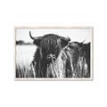 Picture of Bull in the Grass _GroupedProduct_Rectangle_Landscape_Photography _GroupedProduct_Rectangle_Landscape_Framed_Matted_