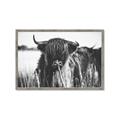 Picture of Bull in the Grass _GroupedProduct_Rectangle_Landscape_Photography _GroupedProduct_Rectangle_Landscape_Framed_Matted_