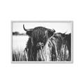 Picture of Bull in the Grass _GroupedProduct_Rectangle_Landscape_Photography _GroupedProduct_Rectangle_Landscape_Framed_Matted_