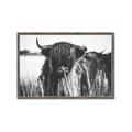 Picture of Bull in the Grass _GroupedProduct_Rectangle_Landscape_Photography _GroupedProduct_Rectangle_Landscape_Framed_Matted_
