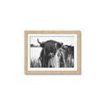 Picture of Bull in the Grass _GroupedProduct_Rectangle_Landscape_Photography _GroupedProduct_Rectangle_Landscape_Framed_Matted_