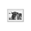 Picture of Bull in the Grass _GroupedProduct_Rectangle_Landscape_Photography _GroupedProduct_Rectangle_Landscape_Framed_Matted_