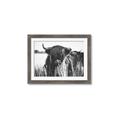 Picture of Bull in the Grass _GroupedProduct_Rectangle_Landscape_Photography _GroupedProduct_Rectangle_Landscape_Framed_Matted_