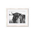 Picture of Bull in the Grass _GroupedProduct_Rectangle_Landscape_Photography _GroupedProduct_Rectangle_Landscape_Framed_Matted_