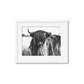 Picture of Bull in the Grass _GroupedProduct_Rectangle_Landscape_Photography _GroupedProduct_Rectangle_Landscape_Framed_Matted_