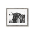 Picture of Bull in the Grass _GroupedProduct_Rectangle_Landscape_Photography _GroupedProduct_Rectangle_Landscape_Framed_Matted_