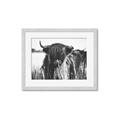 Picture of Bull in the Grass _GroupedProduct_Rectangle_Landscape_Photography _GroupedProduct_Rectangle_Landscape_Framed_Matted_