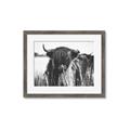 Picture of Bull in the Grass _GroupedProduct_Rectangle_Landscape_Photography _GroupedProduct_Rectangle_Landscape_Framed_Matted_