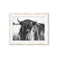 Picture of Bull in the Grass _GroupedProduct_Rectangle_Landscape_Photography _GroupedProduct_Rectangle_Landscape_Framed_Matted_