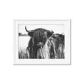 Picture of Bull in the Grass _GroupedProduct_Rectangle_Landscape_Photography _GroupedProduct_Rectangle_Landscape_Framed_Matted_