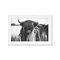 Picture of Bull in the Grass _GroupedProduct_Rectangle_Landscape_Photography _GroupedProduct_Rectangle_Landscape_Framed_Matted_