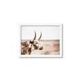 Picture of Annie, the Spotted Cow III _GroupedProduct_Rectangle_Landscape_Photography _GroupedProduct_Rectangle_Landscape_Framed_Matted_