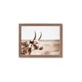 Picture of Annie, the Spotted Cow III _GroupedProduct_Rectangle_Landscape_Photography _GroupedProduct_Rectangle_Landscape_Framed_Matted_