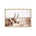 Picture of Annie, the Spotted Cow III _GroupedProduct_Rectangle_Landscape_Photography _GroupedProduct_Rectangle_Landscape_Framed_Matted_